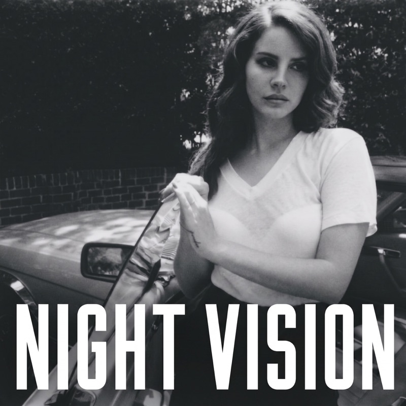 AI-generated album cover — black & white indie photo